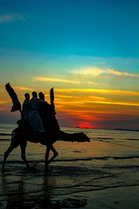 camel ride on beach