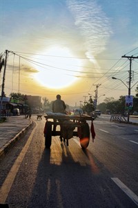 man on donkey cart