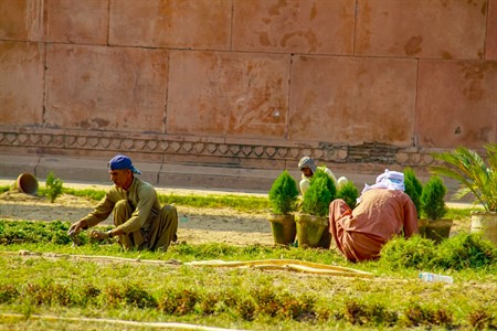 Gardners at work