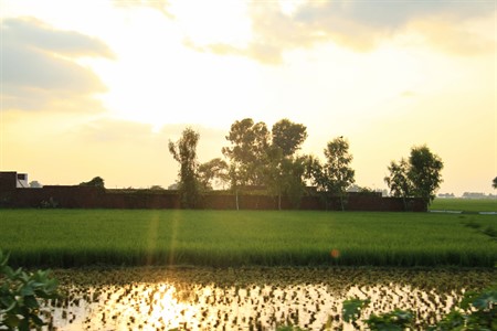 rural landscape