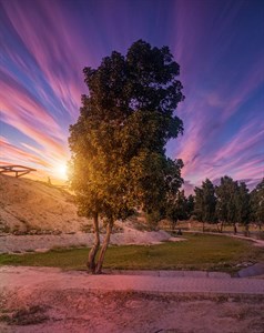 Kaleem shaheed Park Faisalabad