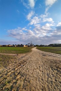 rural landscape