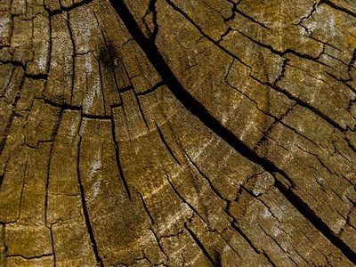 Wooden texture background