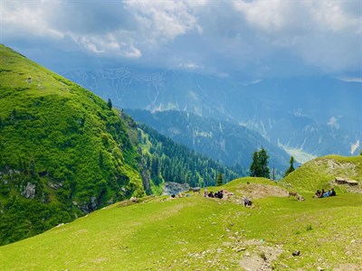 Batagram Allai bar bridge meadows 