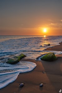 beautiful sunset and sea