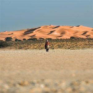 Desert & Landscape 