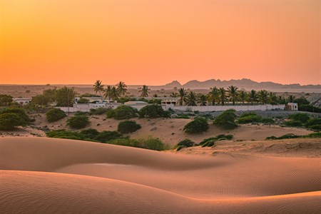 Home in the Desert 