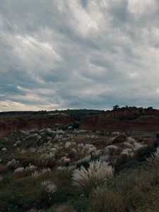 landscape with greenery and clouds