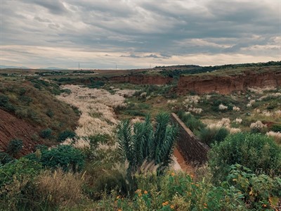 Landscape with greenery and clouds