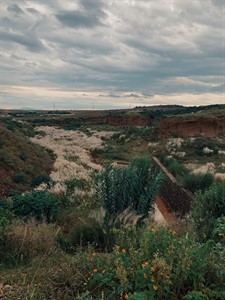 Landscape with greenery and clouds