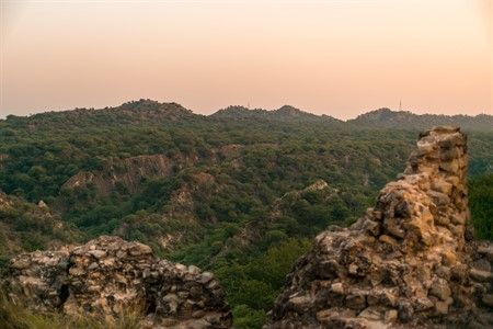 Close view of green hills 