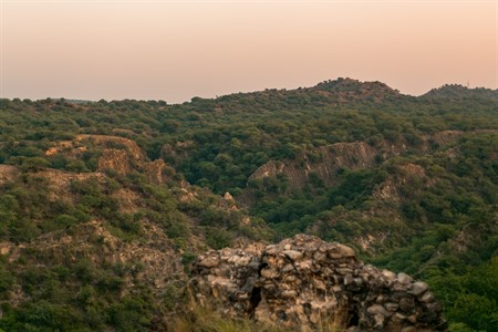 Close view of green hills 