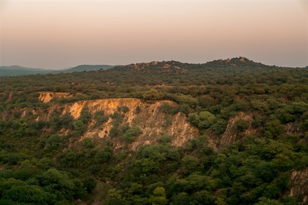 Close view of green hills 