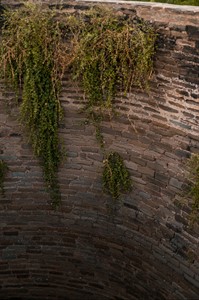 Inside view of a well with green bushes 