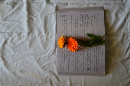 Flowers and book