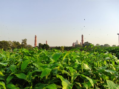 Greater Iqbal park Lahore