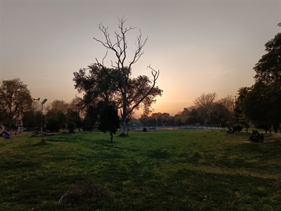 Sunset in Park