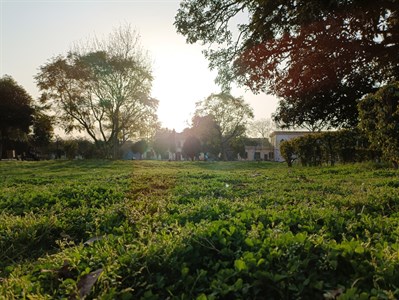 Garden in park