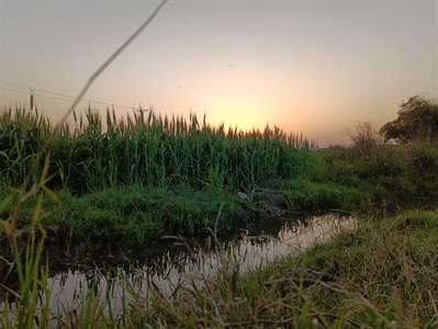 water pond