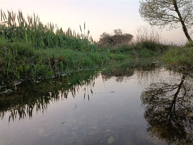 water pond