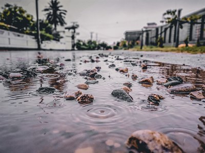 Road after Rain