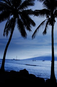 Maui at Twilight