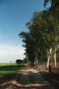 countryside/village road