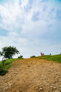 karachi landscape