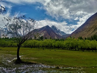 Mountains and Landscapes