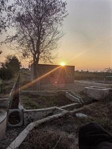 Evening sunset in village