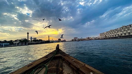 A shot of the sky with clouds and birds in the frame from a boat