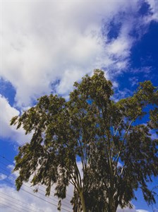 Blue cloudy sky