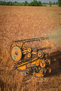 Machine working in Wheat Crop