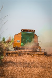 Machine working in Wheat Crop