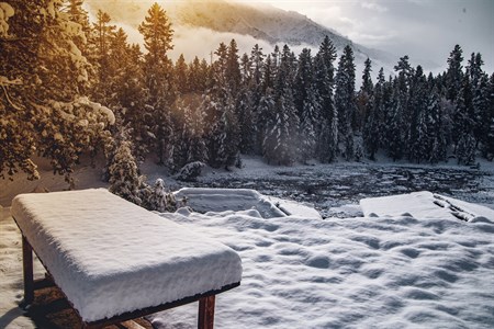 Snow Landscape