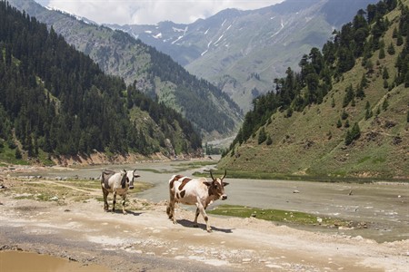 North Pakistan