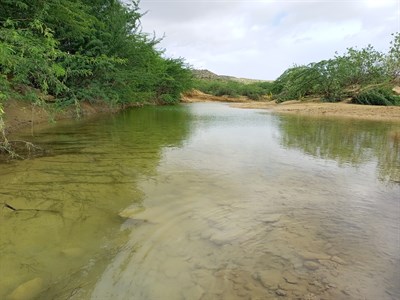 Natural lake