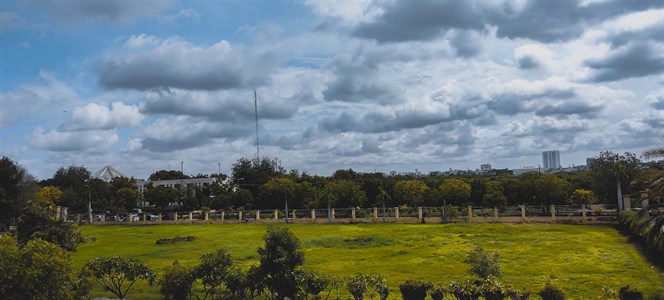 Beautiful view of garden from window