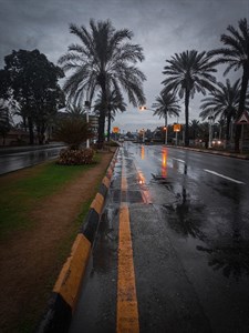 Rain on Road