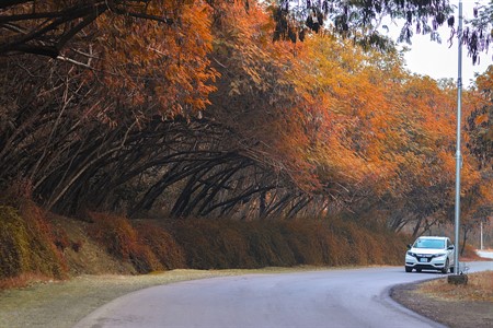 Autumn in Islamabad