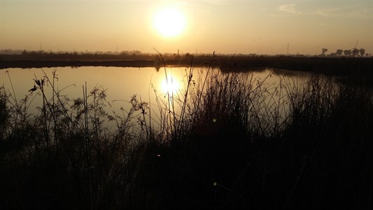 Sunset and lake 