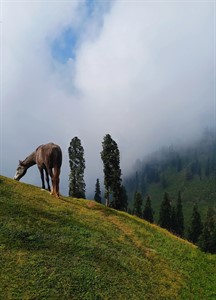 The beauty of nature - Peaceful view