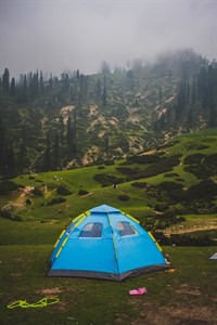 Mountains and Trees - Nature Photography