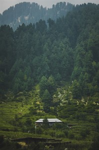 Mountains and Trees - Nature Photography