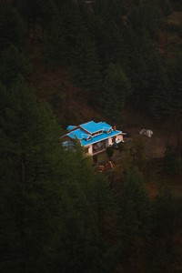 A house surrounded by trees