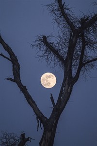 Rising Full Moon - Islamabad, Pakistan