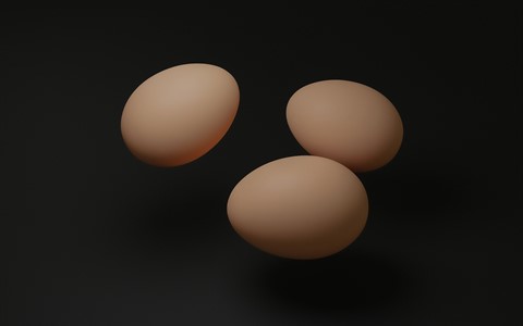 eggs