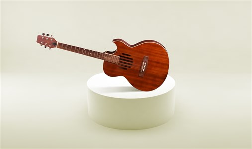 Guitar, Western Music Instrument