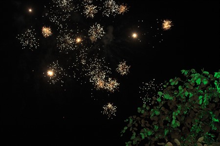 Wedding Firework 