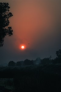 Dreamy sunset in Khairpur Mir's